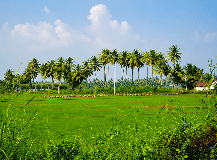 Village Walks
